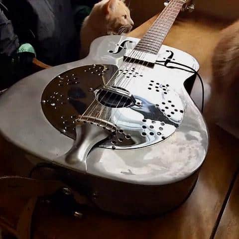 Dobro Pickup vs National Guitar Pickup