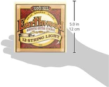 Ernie Ball Earthwood 12-String Light