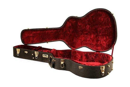 Essential Guitar Case Accessories