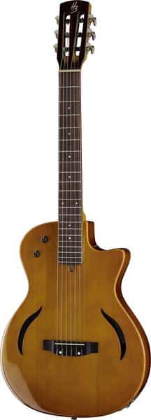 Nylon and Steel String Guitar Models