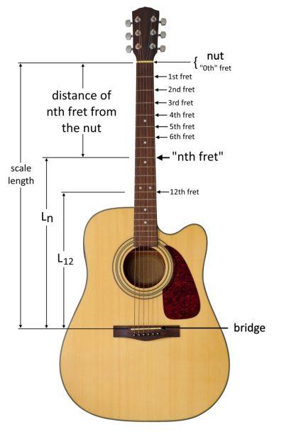 Scale Length & Frets