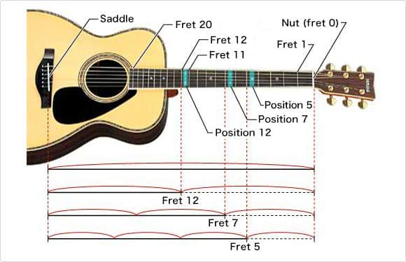 Understanding the Structure of a 12-String Guitar
