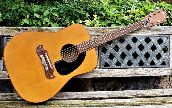 User Reviews and Forum Discussions