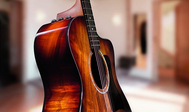 Comparing Tonewoods and Construction