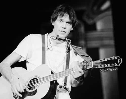 Design Elements and Quality