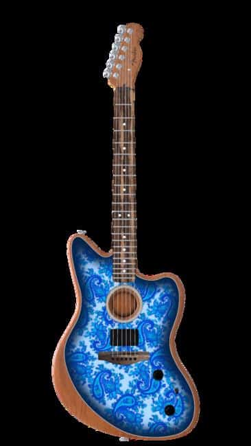 Fender Steel Guitar Accessories