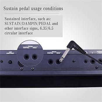How to Use a Sustain Pedal