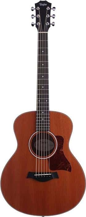 Taylor GS Mini