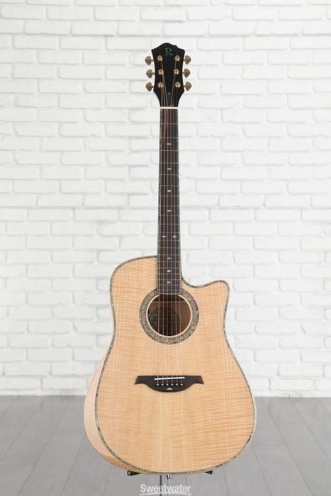 User Reviews and Experience