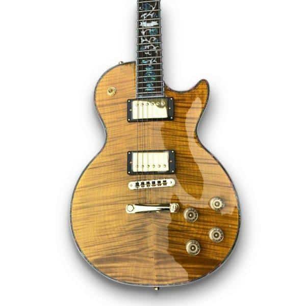 Guitar Customisation with Abalone