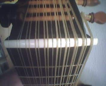 Popular Brands for Gut Strings