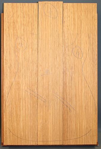 Selecting Guitar Body Blanks