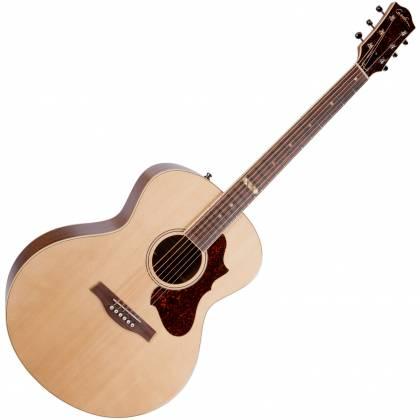 The Musicians' Forum