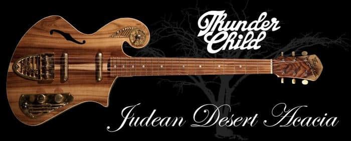 A Look at Hermann Hauser Sr.'s Life