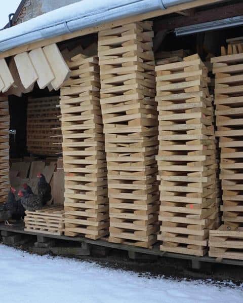 Choosing the Right Tonewood for Your SG Kit