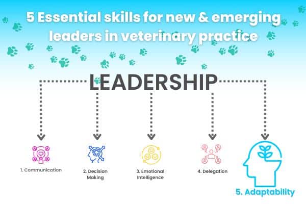 Playability for Different Skill Levels