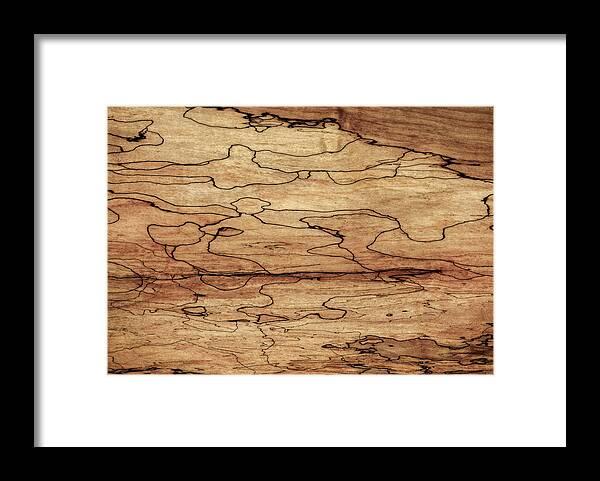 Understanding Spalted Maple