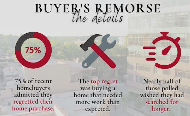 Factors to Consider Before Purchase