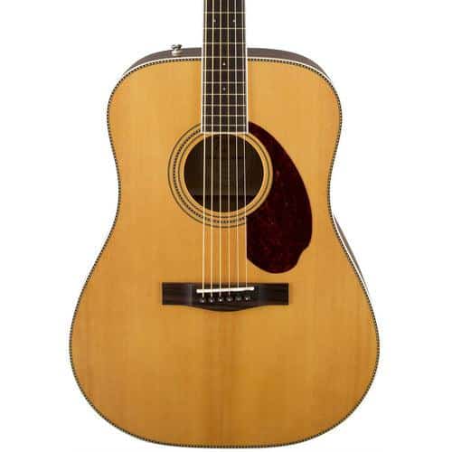 Fender PM-1 Standard Dreadnought