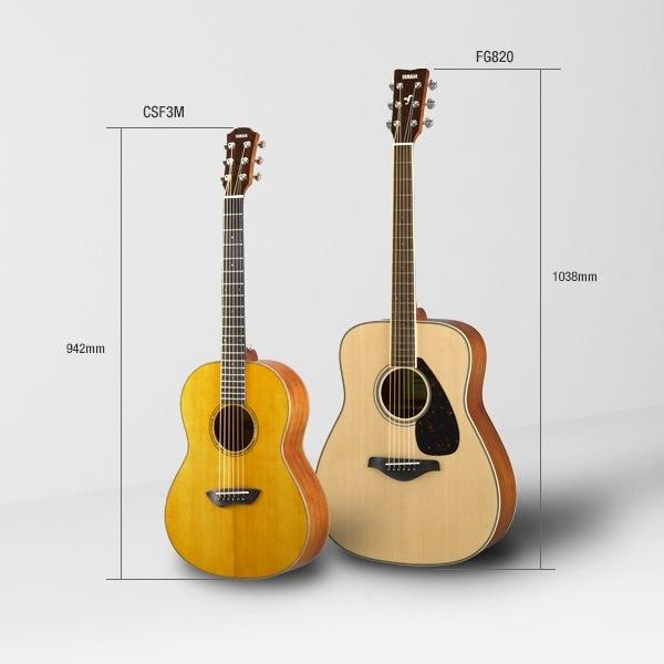 Acoustic Guitars