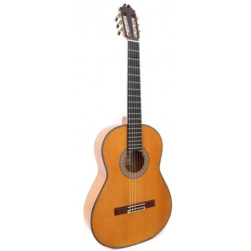 Flamenco-Inspired Fingerpicking