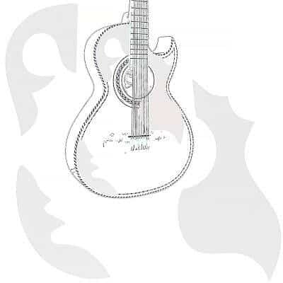 Maintaining Your Bajo Sexto