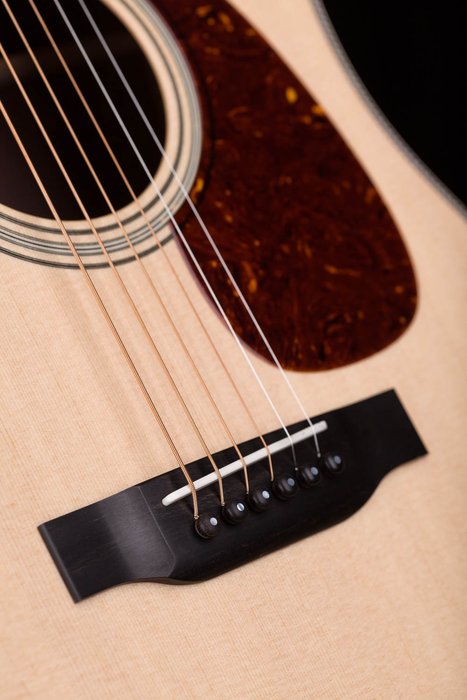 D2H | Acoustic Guitar | Collings Guitars