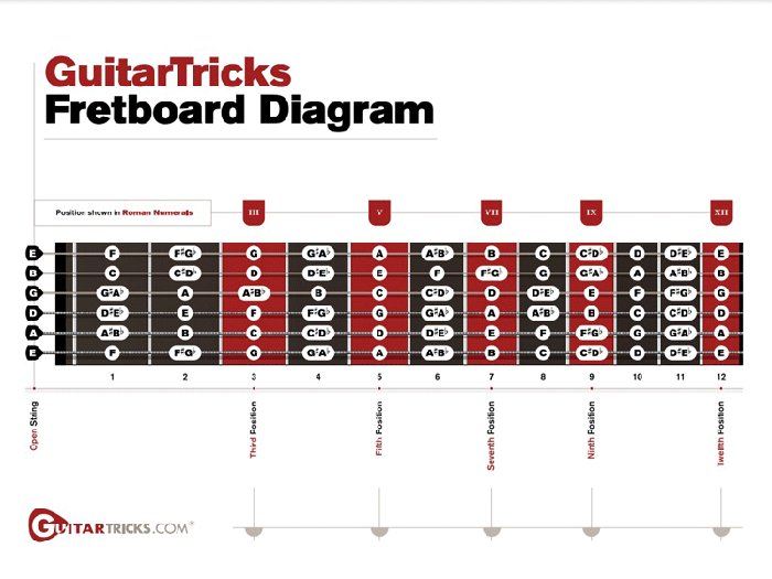 Guitar Fretboard Notes Explained - Guitar Tricks Blog