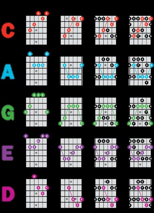 CAGED System for Guitar | The Lesson Room | D'Addario