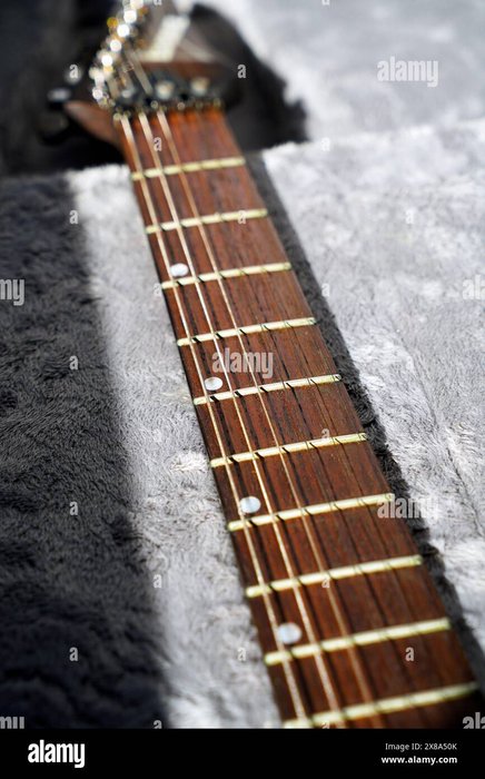 Close up of electric guitar steel strings and fretboard made of rosewood, highlighting the string material in relation to the guitar, which is relevant to the theme of tone qualities and applications.