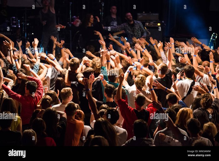 Audience at a rock concert at night, representing the vibrant atmosphere of discovering new guitar rock bands.