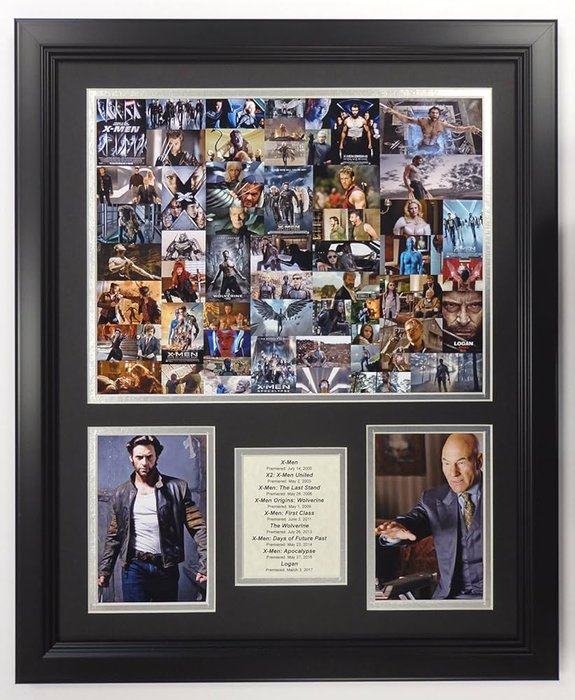 Buy Legends Never Die X-Men Movies Mosaic Double Matted Photo ...