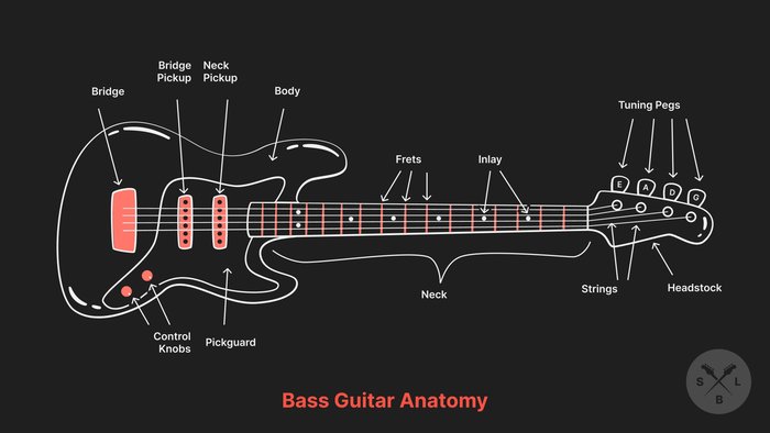Blog: Understanding the Parts of Your Bass Guitar – Scott's Bass ...