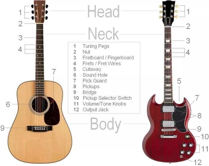 The Guitar Anatomy of Acoustics and Electrics